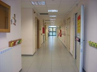 Corridio del plesso Collodi